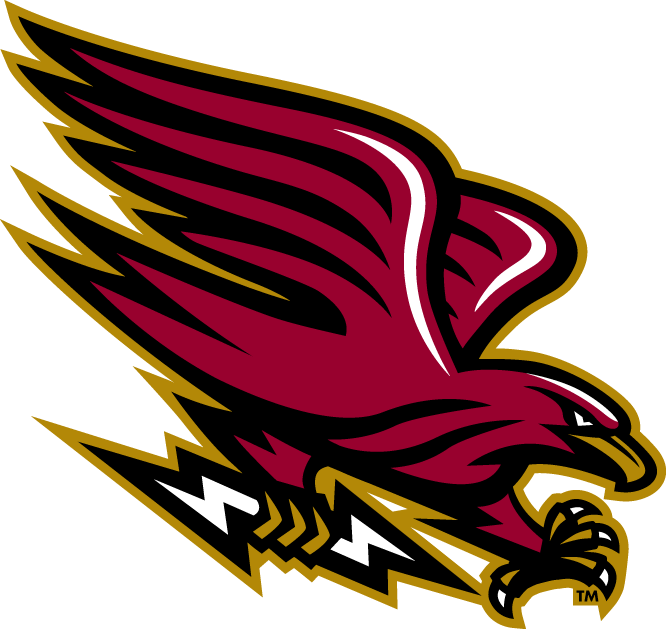 Louisiana-Monroe Warhawks 2006-Pres Alternate Logo v9 diy iron on heat transfer